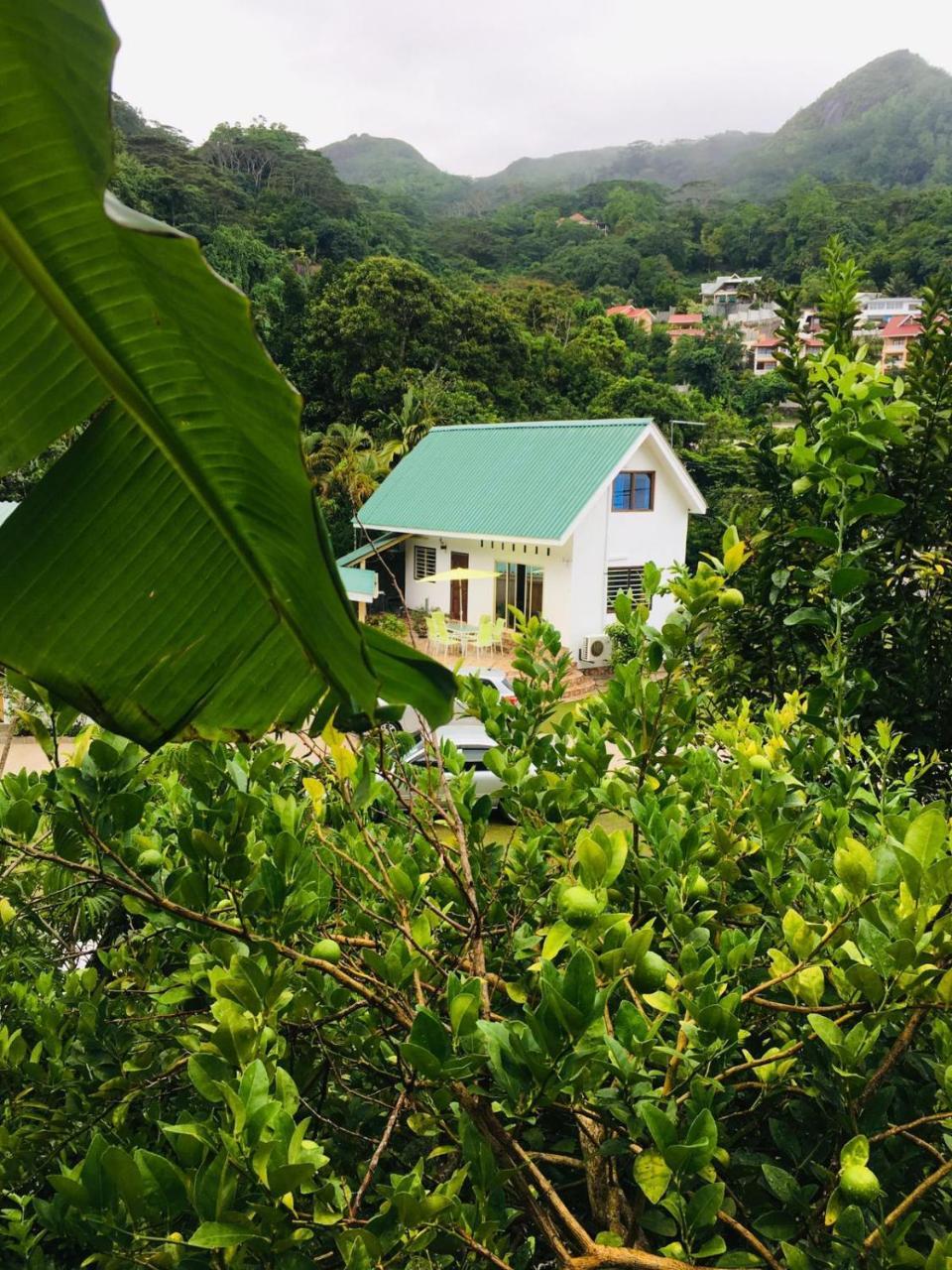 Loversnest Self Catering Anse aux Pins Exterior photo